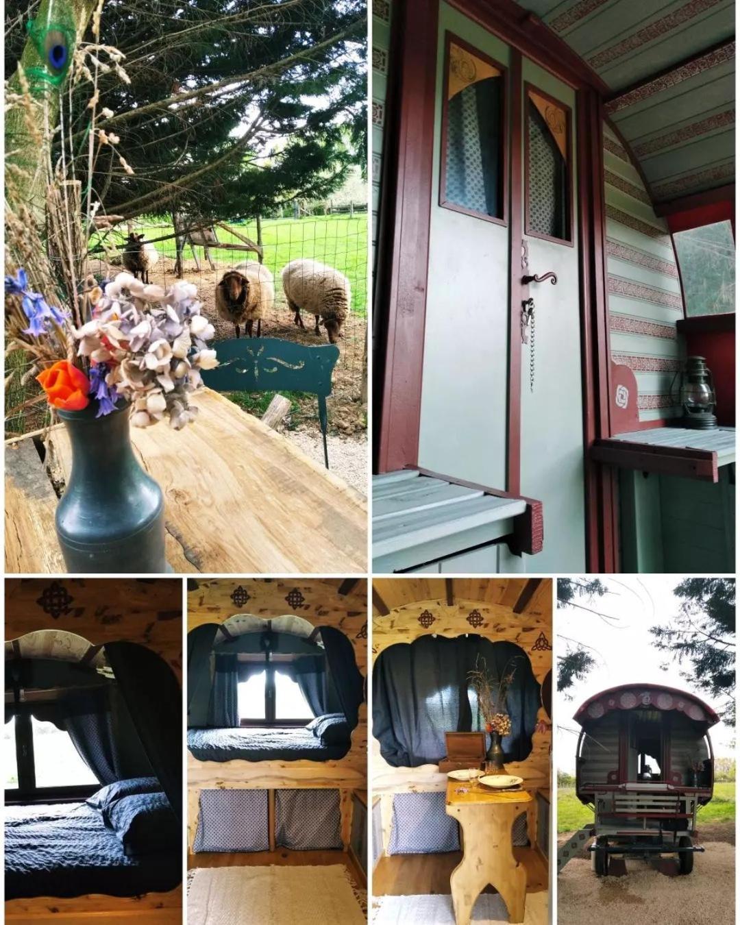 Hotel Roulotte Irlandaise Polly Saint-Vincent-en-Bresse Exterior foto